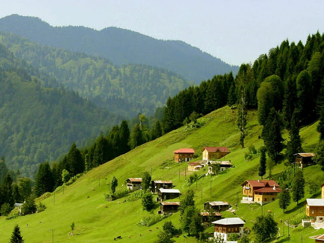 anzer-yaylasi