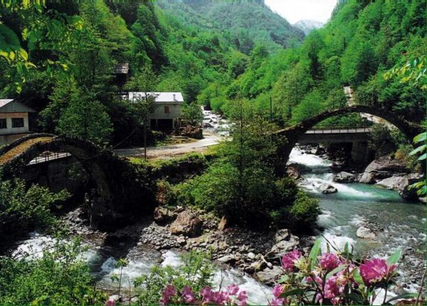 ciftekopru-artvin